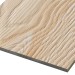 Фиброцементные панели FCSPRO Decor Wood Лиственница купить в Дзержинске